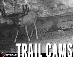 trailcams2
