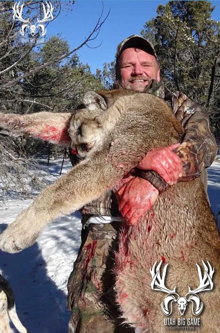 Mountain Lion Hunting Utah