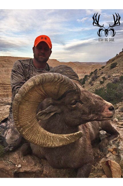 Bighorn Sheep Hunting Utah