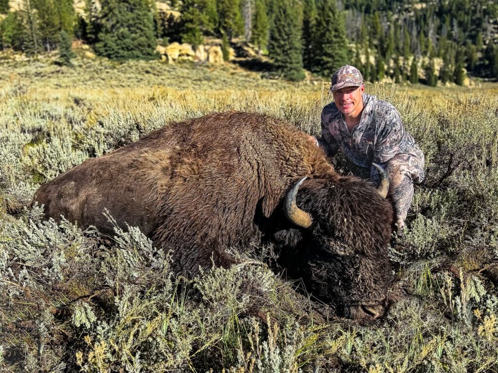 Kyle bison 2023