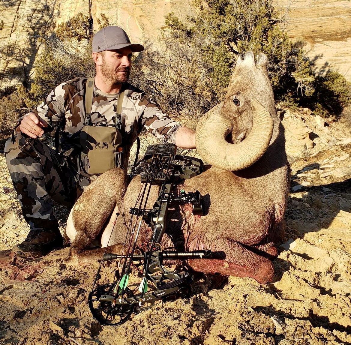 Archery ram from the Zion unit